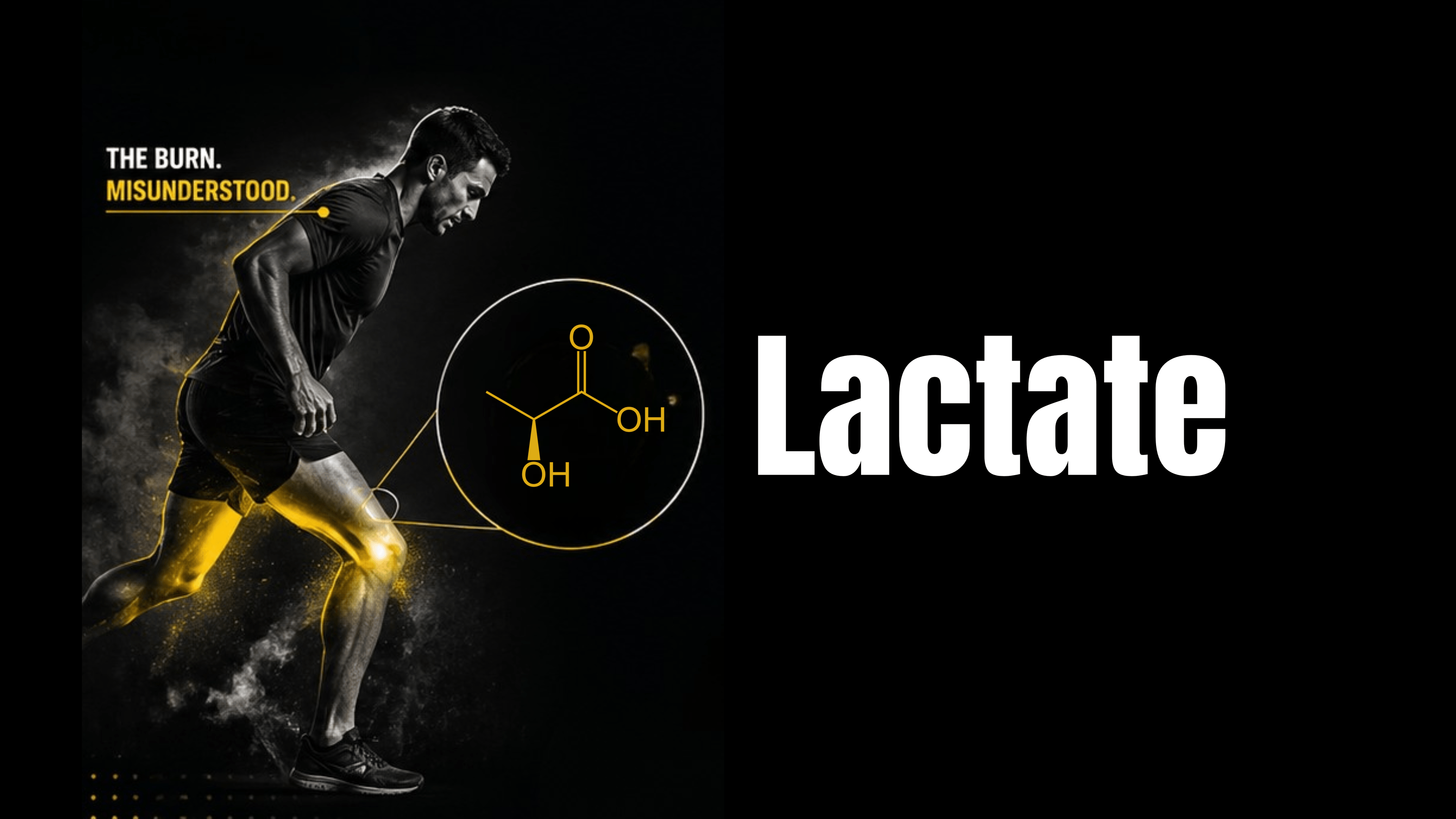The Truth About Lactate and Threshold